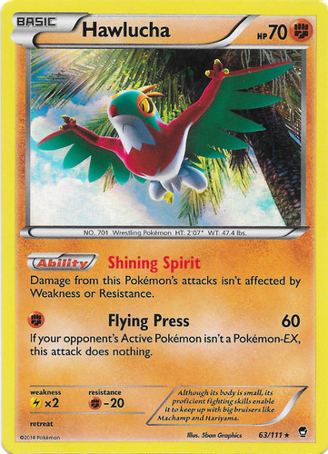 Hawlucha 64/111 EX Card Pokemon Collection Plastic Card Free 1 EX Gold Series